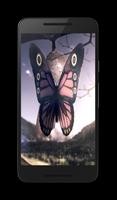 Butterfly HD Video Wallpaper Plakat