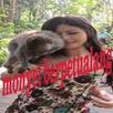 monyet berpetualang APK