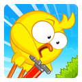 Pogo Chick