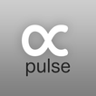 Carsten Nicolai: alpha pulse
