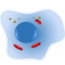 Cell Biology-101 APK