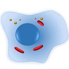 Cell Biology-101 иконка
