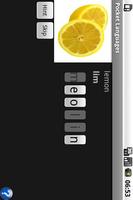 Pocket Languages capture d'écran 3