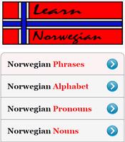 Learn Norwegian Language পোস্টার