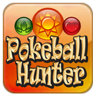 Pokeball Hunter icône
