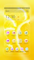Fruit Orange Wallpaper Theme الملصق