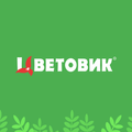 Цветовик