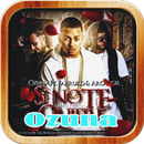 APK musica ozuna palco mp3