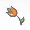 Nova Flor APK