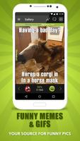 Memedroid Pro: Funny memes plakat