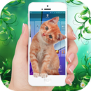 Cat on Screen Walk Prank– Cat in Screen APK