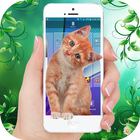 Cat on Screen Walk Prank– Cat in Screen icône