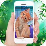 Cat on Screen Walk Prank– Cat in Screen biểu tượng