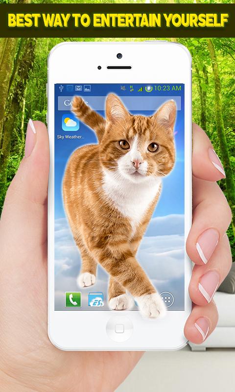 Приложение кот говорит. Котики приложения. Котики с приложением мобильным. Котик ходит по экрану телефона. Котик который ходит по экрану.