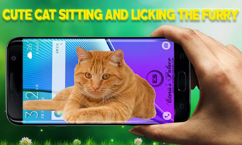 猫上屏幕 可爱猫魔法触摸安卓下载 安卓版apk 免费下载