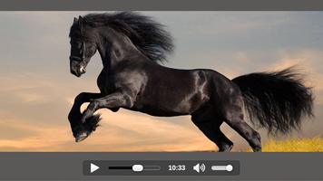 Video Player: HD Media Play for All Formats screenshot 3