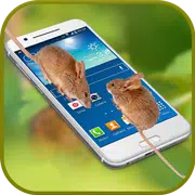 Mouse on Screen: Scary Best Crazy Prank Fun App