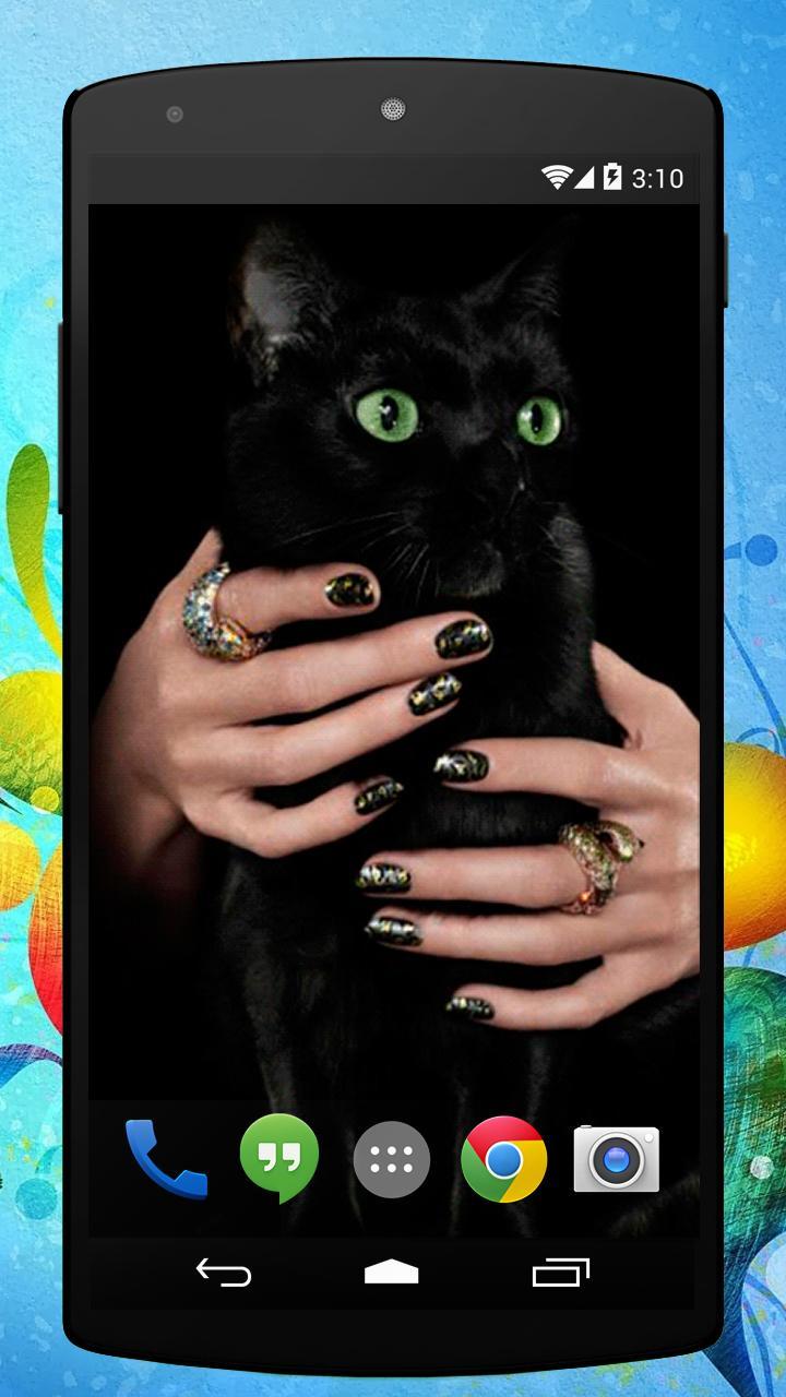 下载Black Cat Live Wallpaper的安卓版本