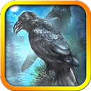 Black Crows Live Wallpaper APK