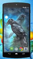 Black Crows Live Wallpaper Affiche