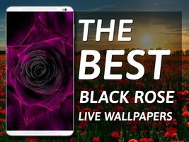 Black Rose Live Wallpaper ポスター