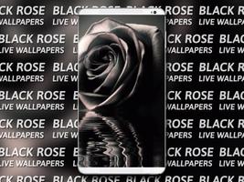 Black Rose Live Wallpaper screenshot 2