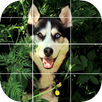 Anime Puzzle  Manga APK