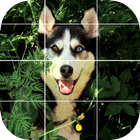 Anime Puzzle  Manga icon