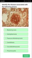 USMLE Microbiology Review ảnh chụp màn hình 1