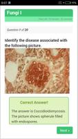 USMLE Microbiology Review Ekran Görüntüsü 2