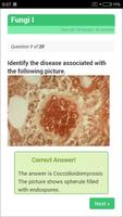 USMLE Microbiology Review capture d'écran 2