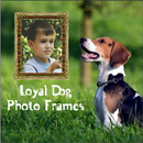 Loyal Dog Photo Frames Online Selfie Effect Editor APK