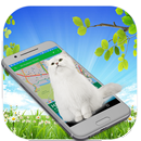 Cat On Screen - Cat In Phone Prank APK
