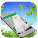 Kot na ekranie - Cat In Phone Prank aplikacja