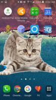 Cat On Screen Plakat