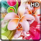 HD Flowers Collection ikona