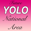 Yolo Area