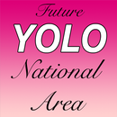 Yolo Area APK