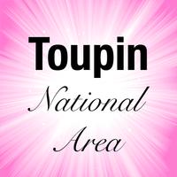 Poster Toupin Area