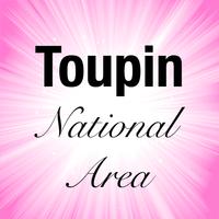 Toupin Area Poster