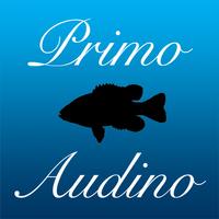 Primo Audino स्क्रीनशॉट 2