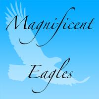 Magnificent Eagles Area poster