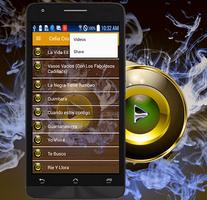 Celia Cruz Letra Vasos Vacíos screenshot 2