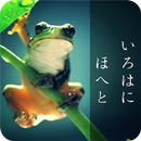 写真に一句（俳句を写真に縦書き） APK