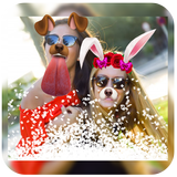 Photo Lab 2017 biểu tượng