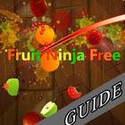 Icona ALL Tips for Fruit Ninja Free