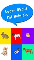 Learn Pet Animals' For Kids Affiche