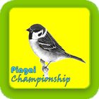 pingai championship biểu tượng