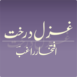 Ghazal Darakht Iftekhar Raghib