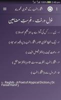 Iftekhar Raghib - Urdu Poetry скриншот 3